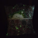 Reading Cushion - Nighttime in Bluebell Wood - Dusk